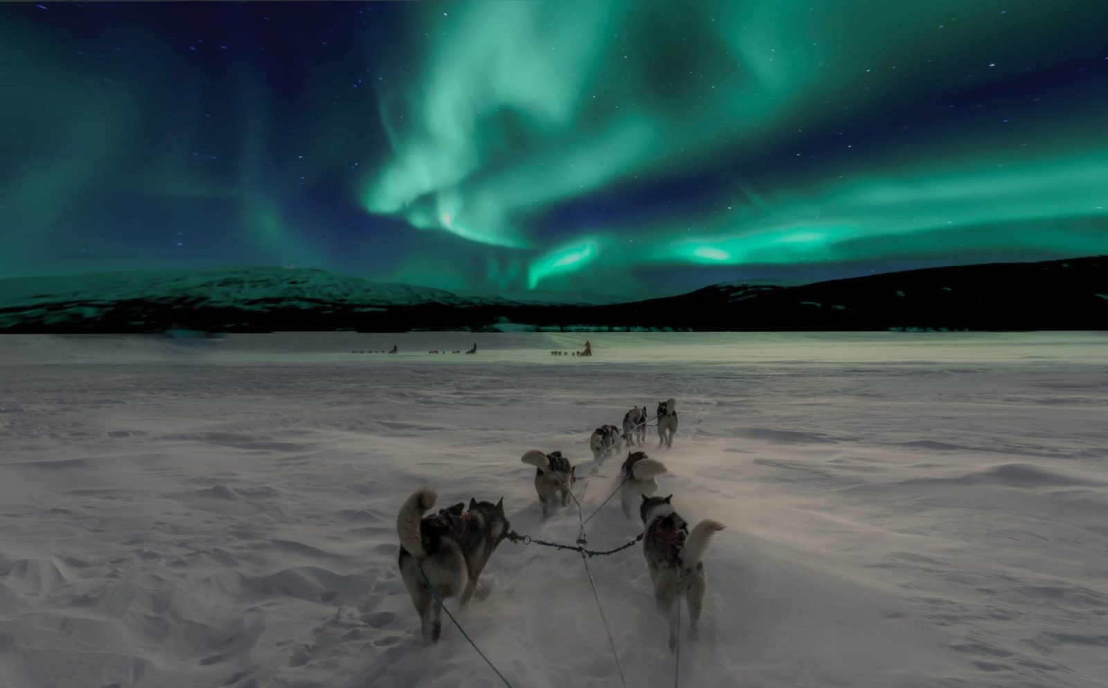 seeing the northern lights as a family being pulled in a sled